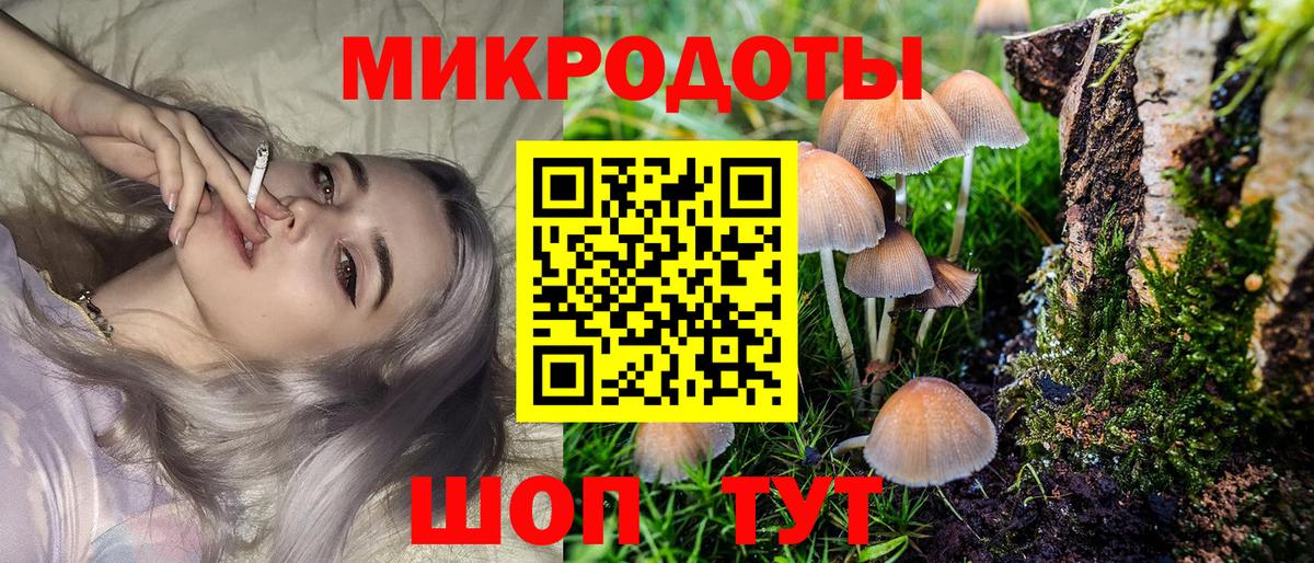 Псилоцибиновые грибы Magic Shrooms  Вход с VPN  Галлюциногенные грибы Cubensis  цена наркотик  Новый Уренгой 